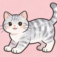 美国短毛猫