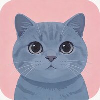 英国短毛猫