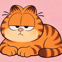 加菲猫