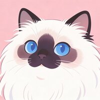 布偶猫